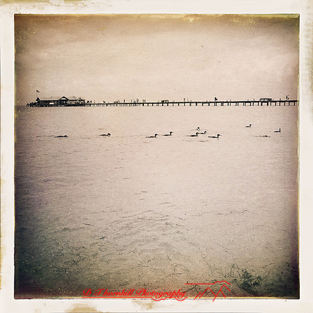 florida-2014-iphone-arch-004