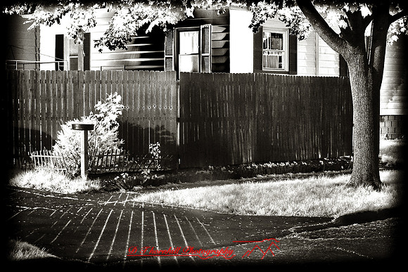 infrared-2009-random_17-nik.jpg