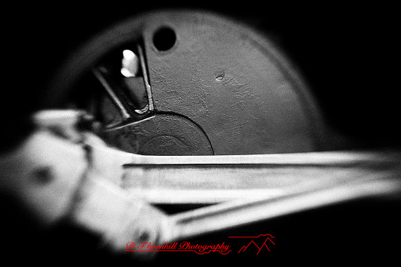 owosso_train-fest-2009_37-nik.jpg