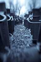 assorted_images-2009_61.jpg