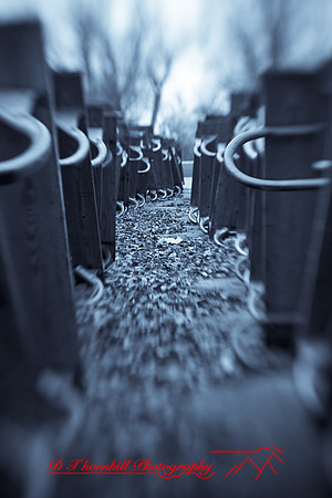 assorted_images-2009_61.jpg