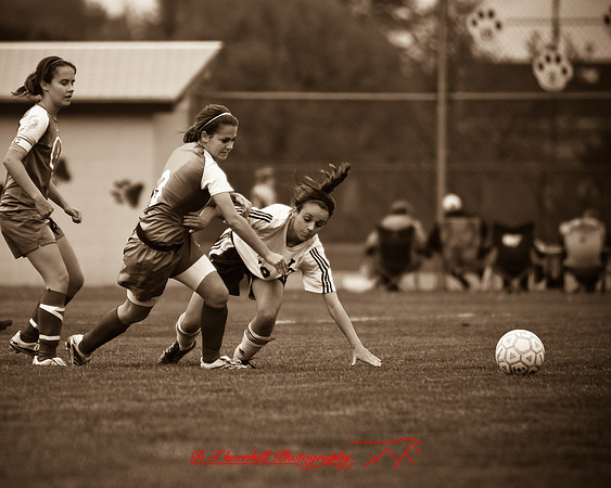jghs-gs-nouvel-2008_21.jpg
