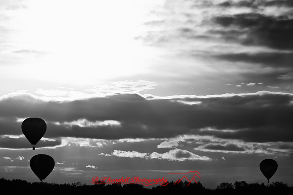 midland-balloon-2010_16-nik