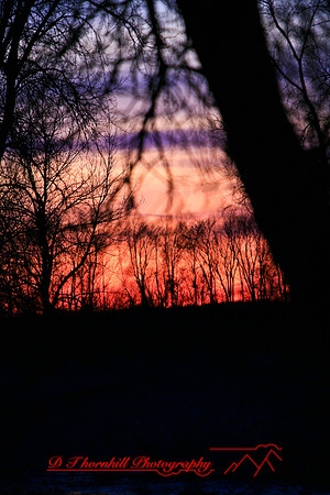 shiawassee-march-2007_016