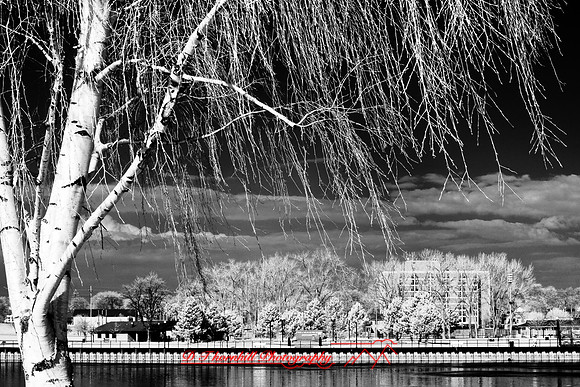 bay_city-infrared-2008_01