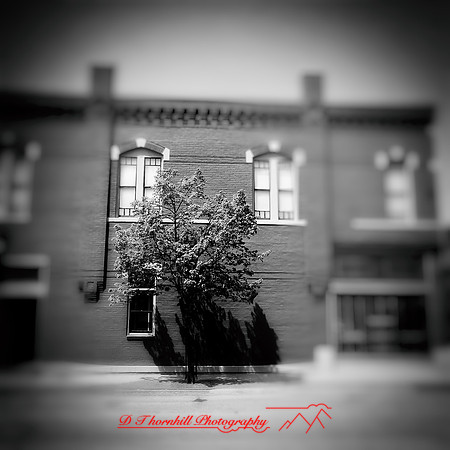 iPhones-2014-062-nas