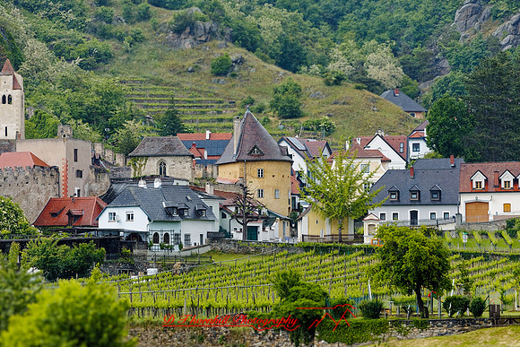 2025 - river cruise - 311_DxO