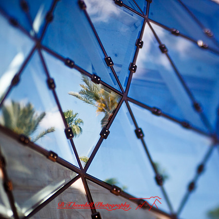 florida-2013-images034