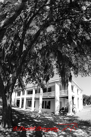 florida-2006_018