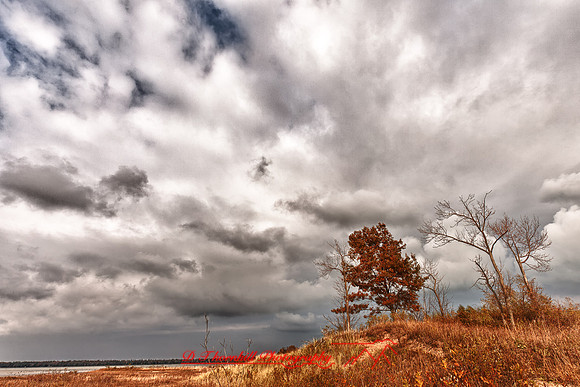 tawas-state-park-2011-3-01_HDR