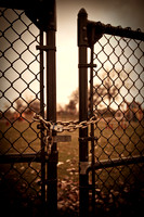 assorted_images-2009_49.jpg