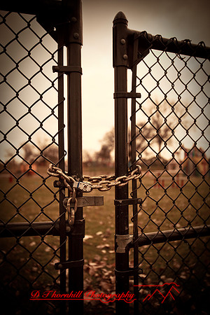 assorted_images-2009_49.jpg