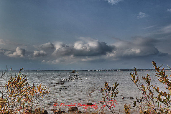 tawas-state-park-2011-5-01_HDR