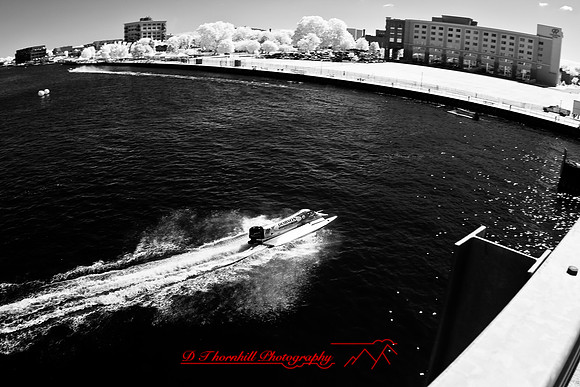 river-roar-infrared-2009_04.jpg