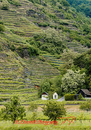 2025 - river cruise - 319_DxO