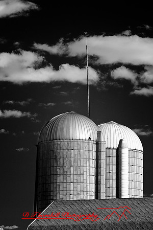infrared-2008_098