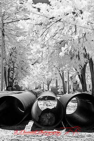 infrared-2008_029