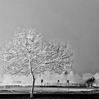 saginaw_images_2013-011-nas