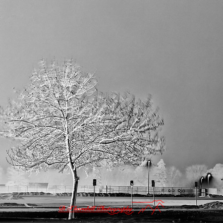 saginaw_images_2013-011-nas