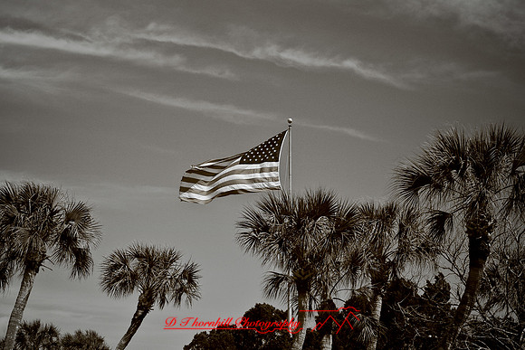 florida-2006_041