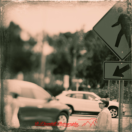 florida-2013-images-128-nas
