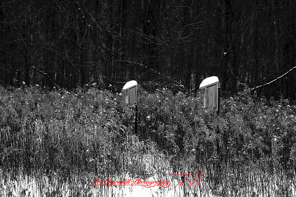 shiawassee-january-2007_008
