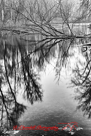 shiawassee_nov-hdr-2010_3-2_HDR-nik