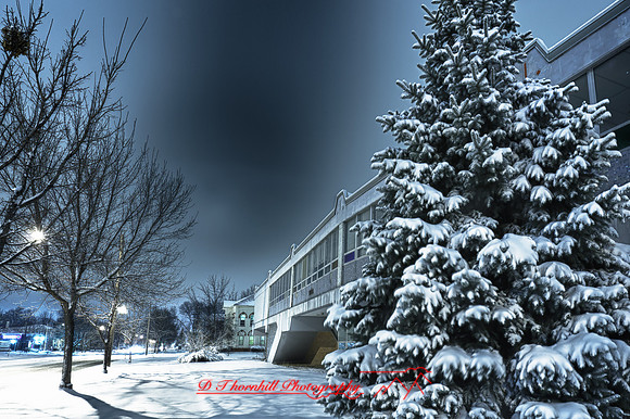 assorted_images-2011_10-01_HDR