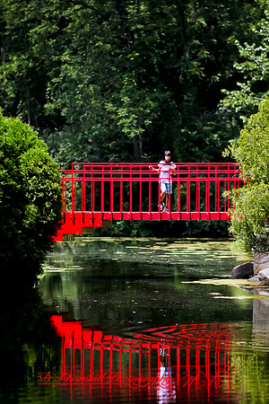 dow-gardens-2010_19