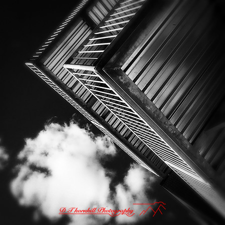 iPhones-2014-076