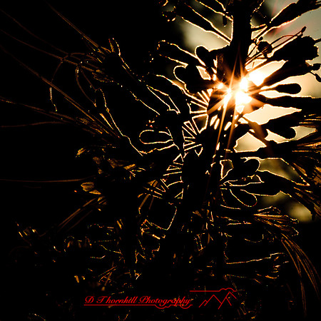 columbus--oh-images-2013-12