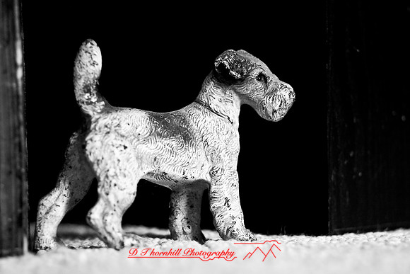 assorted_images-2007-38