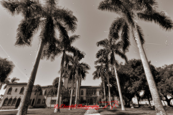 florida-images-2011_24-1_HDR
