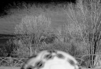 jghs-gs-dreams-2008_18.jpg