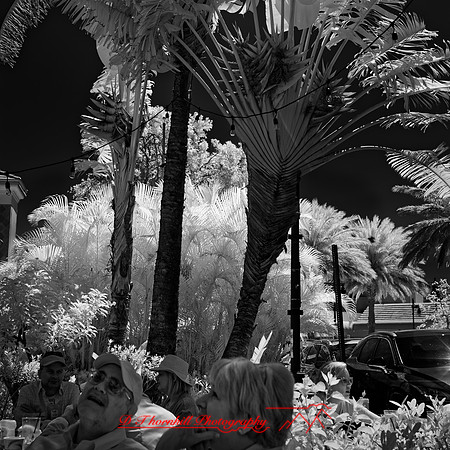 FL-March 2018-155_DxO