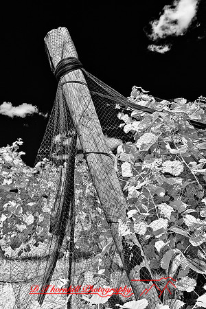 infrared-galesburg_il-2011-35-nas
