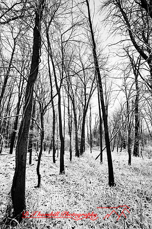 shiawassee_november_2007-02