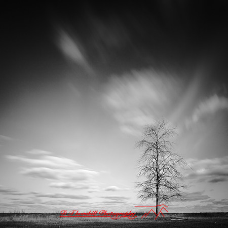 shadow-light-project-bay-city-state-park-2014-003