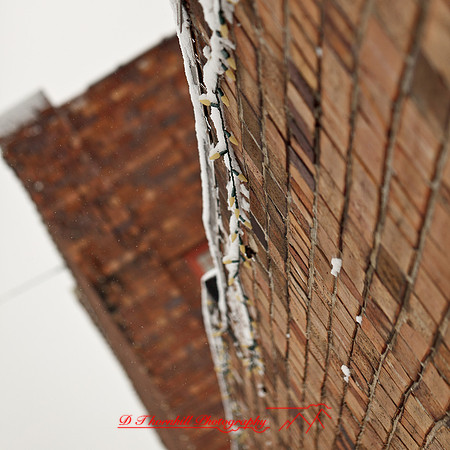 assorted_images-2012-183