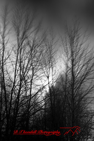 shiawassee_november_2007-05