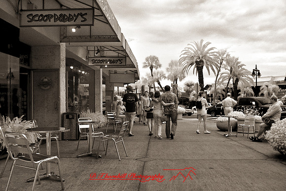florida-2008-people-infrared_13-nik.jpg