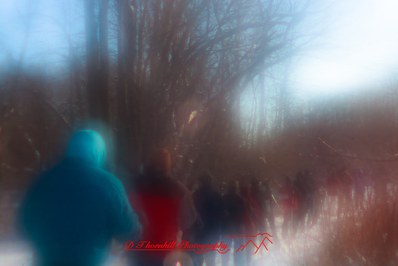 shiawassee_january-2010_03.jpg