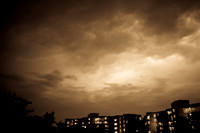 florida_images-2008_03.jpg