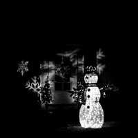Saginaw-2019-christmas-018