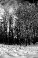 shiawassee_infrared_feb-2008_07