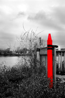 assorted_images-2009_48.jpg