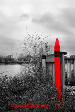 assorted_images-2009_48.jpg