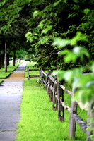 assorted-images-2006_032