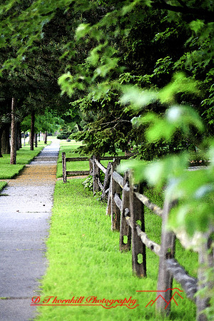 assorted-images-2006_032