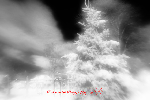 infrared-2010-random_006.jpg